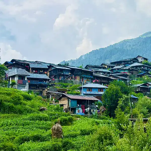 Barot Village