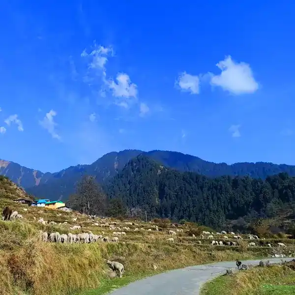 Rajgundha Valley